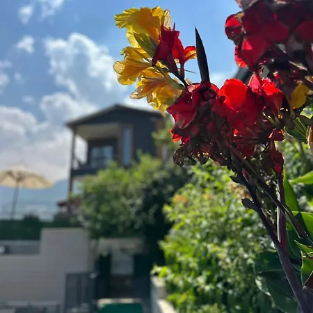 Appartement Mountain Village - Manolya *
